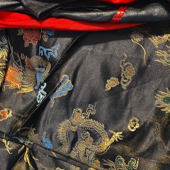 DRAGON MISS Costume - Picture 6 of 6